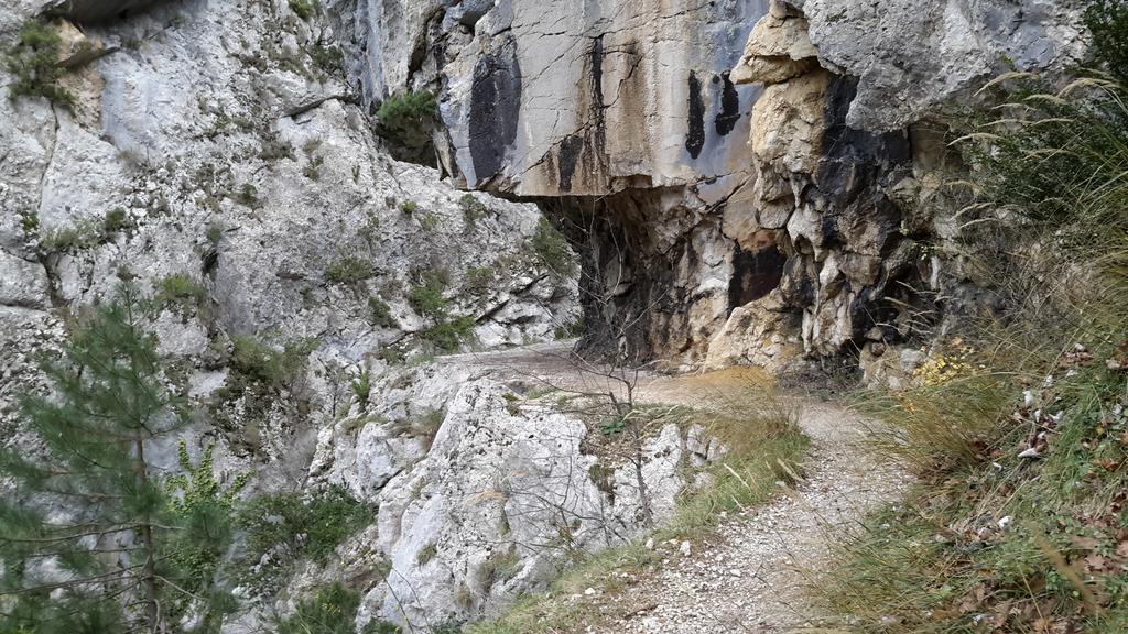 Les Cigales D'estoublon Appartement Estoublon