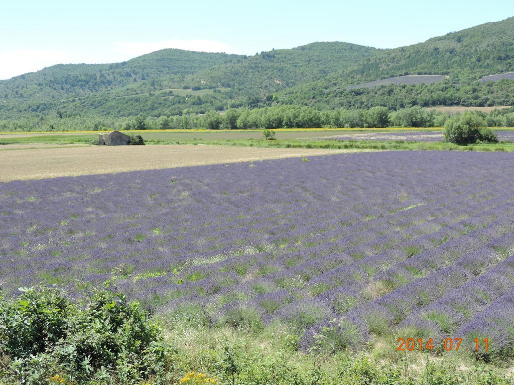 Les Cigales D'estoublon Appartement Estoublon